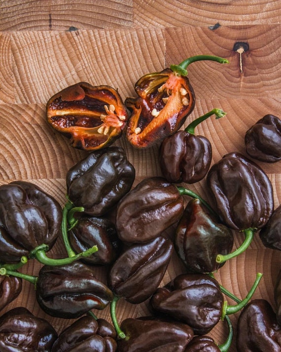 Habanero chocolate freschi